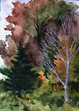 Realist watercolor painting.