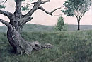 Realist watercolor painting.