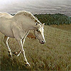 realist oil painting.