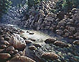Realist oil painting.
